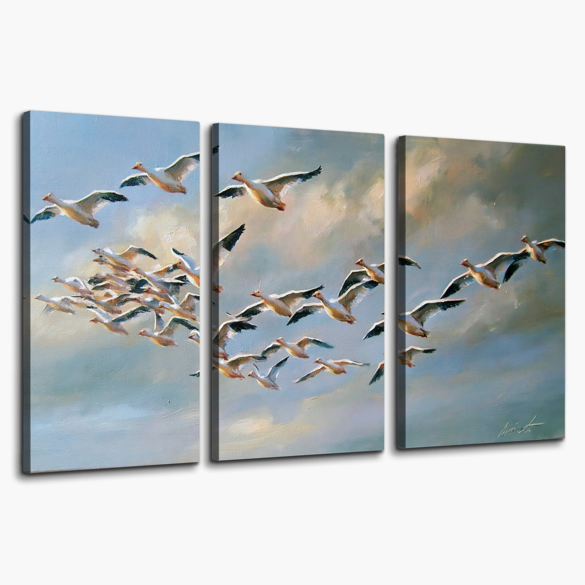A flock of pale seabirds gliding beneath soft clouds across a blue sky 3 piece canvas wall art on a white background