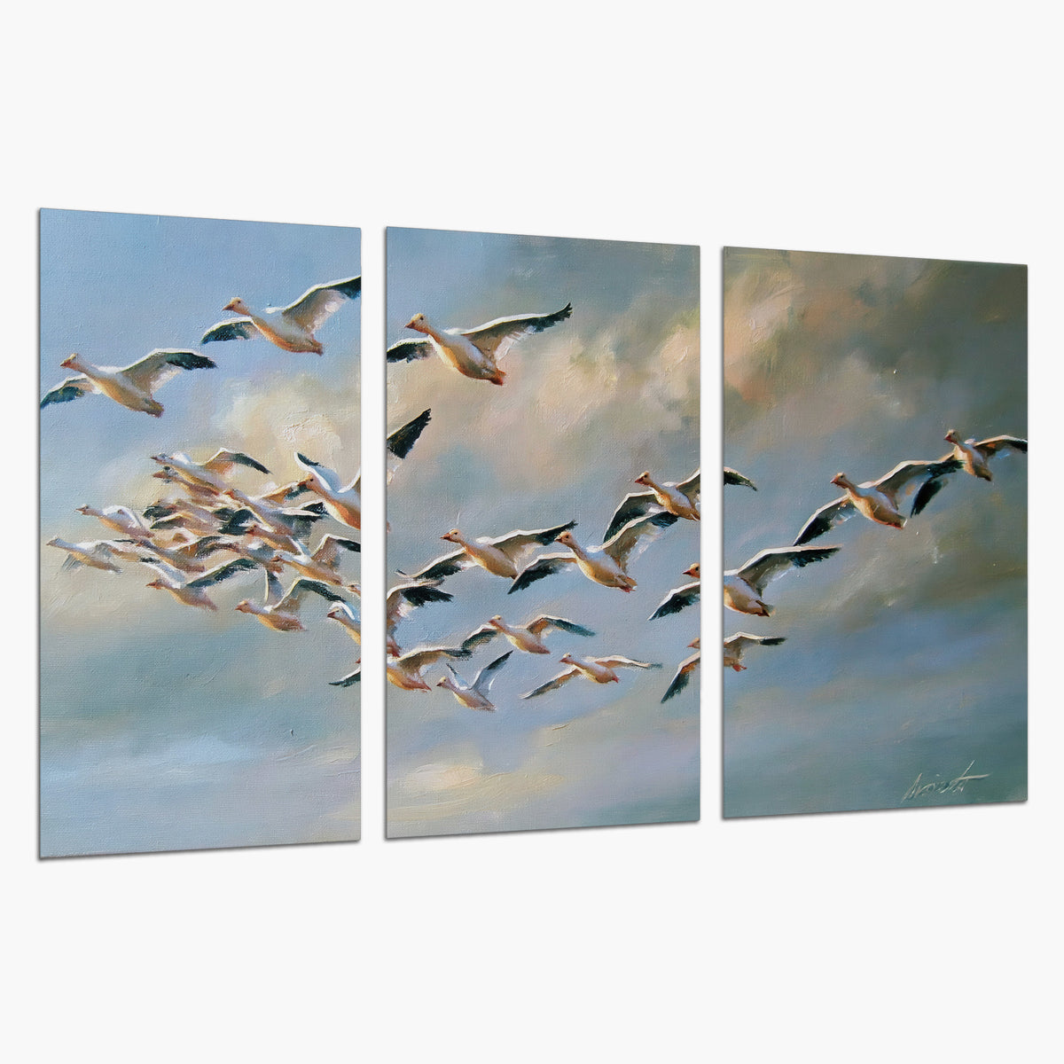 A flock of pale seabirds gliding beneath soft clouds across a blue sky set of 3 poster prints on a white background