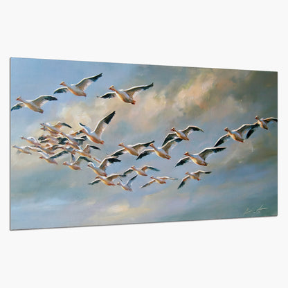 A flock of pale seabirds gliding beneath soft clouds across a blue sky single poster print on a white background