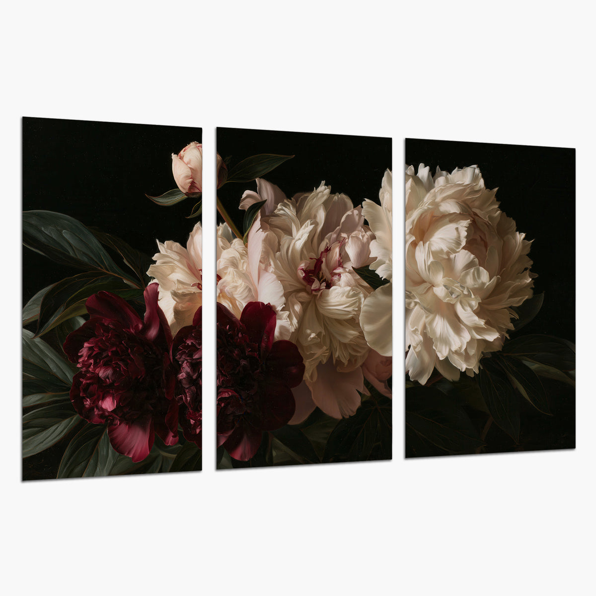 Full ivory and deep burgundy peonies against a dark green background set of 3 poster prints on a white background