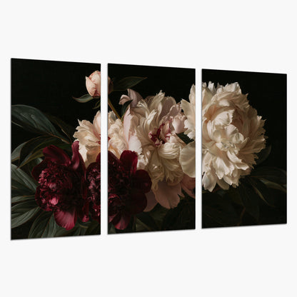 Full ivory and deep burgundy peonies against a dark green background set of 3 poster prints on a white background