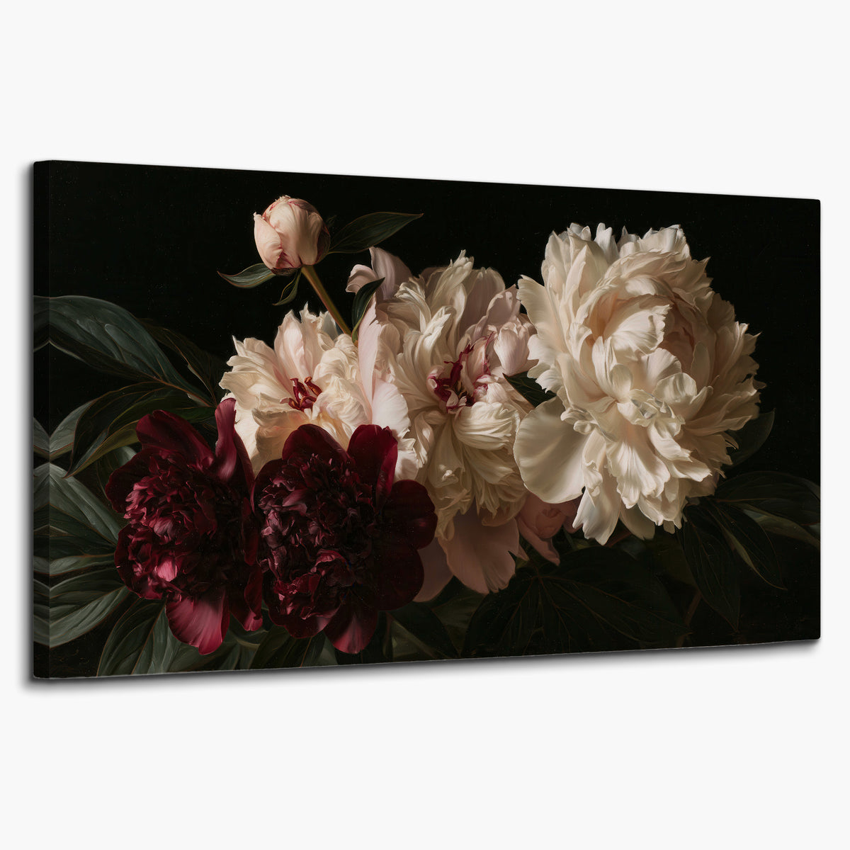 Full ivory and deep burgundy peonies against a dark green background single canvas wall art on a white background