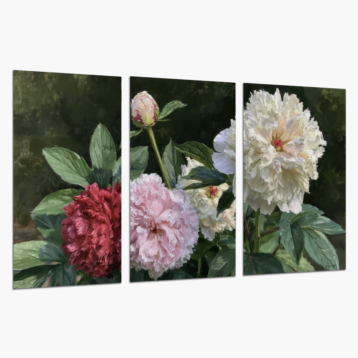 Cream, blush and red peonies surrounded by fresh green leaves set of 3 poster prints on a white background