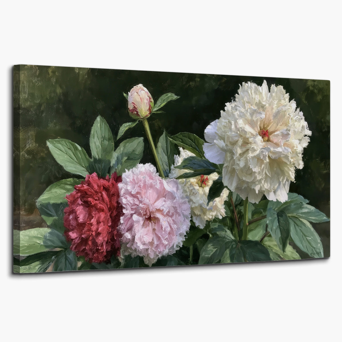 Cream, blush and red peonies surrounded by fresh green leaves single canvas wall art on a white background