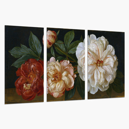 A large pale peony beside small ruby-red and peach flowers on a deep green ground set of 3 poster prints on a white background