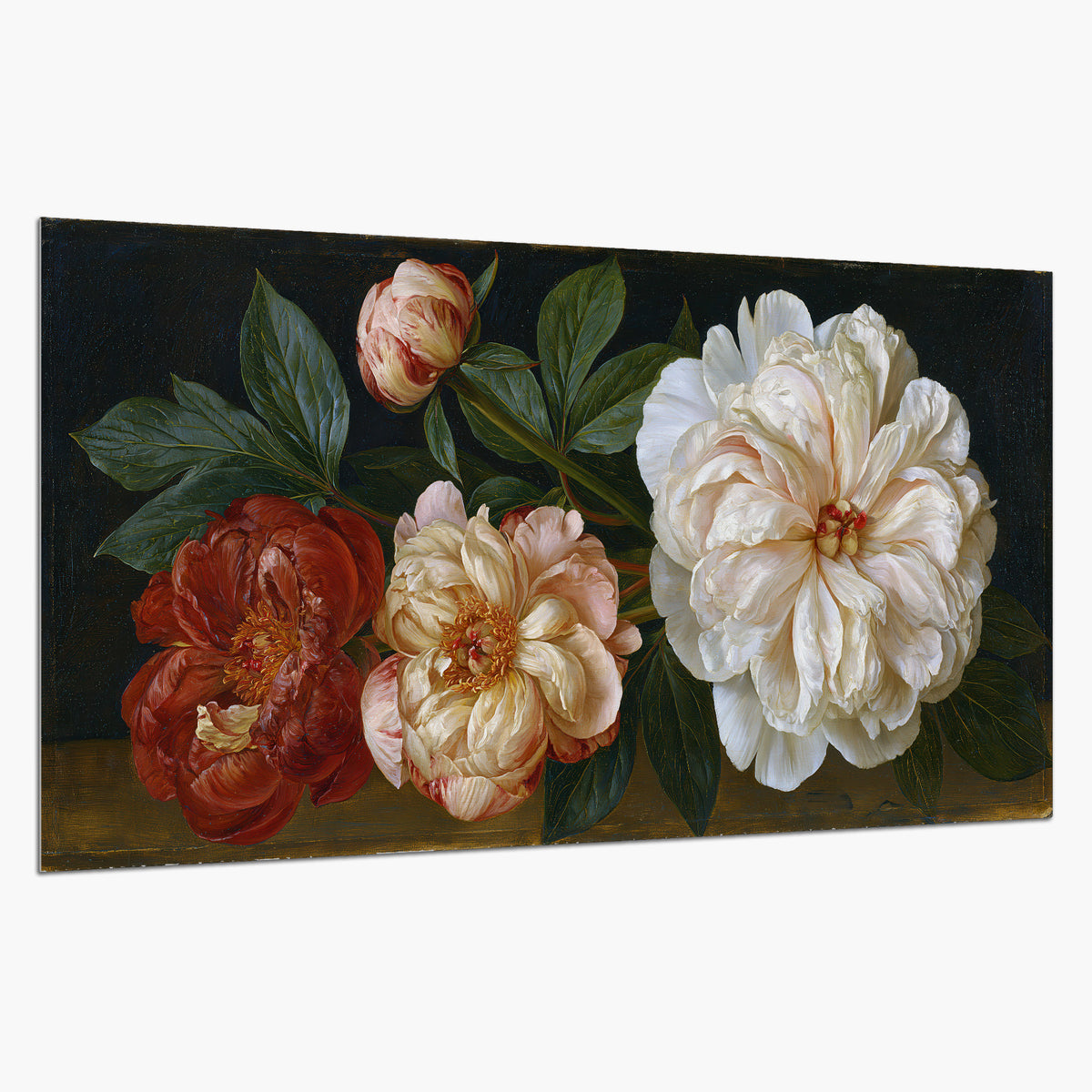 A large pale peony beside small ruby-red and peach flowers on a deep green ground single poster print on a white background