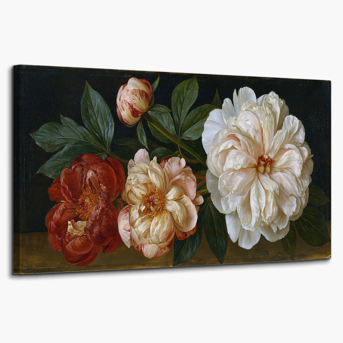 A large pale peony beside small ruby-red and peach flowers on a deep green ground single canvas wall art on a white background
