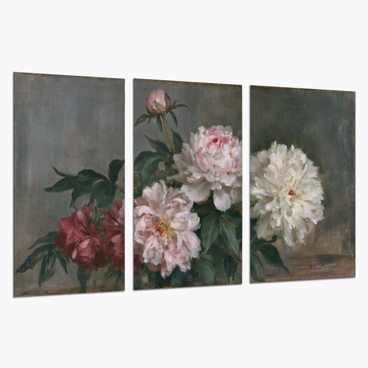 Cream and dusty pink peonies arranged against a muted gray-green background set of 3 poster prints on a white background