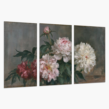 Cream and dusty pink peonies arranged against a muted gray-green background set of 3 poster prints on a white background