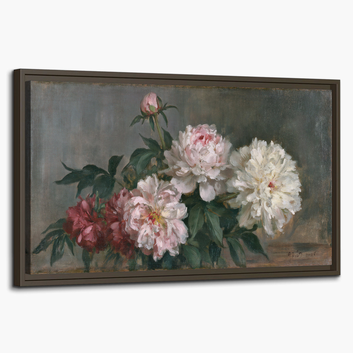Cream and dusty pink peonies arranged against a muted gray-green background single framed canvas wall art on a white background