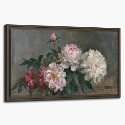 Cream and dusty pink peonies arranged against a muted gray-green background single framed canvas wall art on a white background