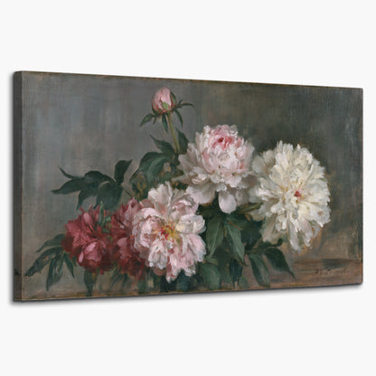 Cream and dusty pink peonies arranged against a muted gray-green background single canvas wall art on a white background