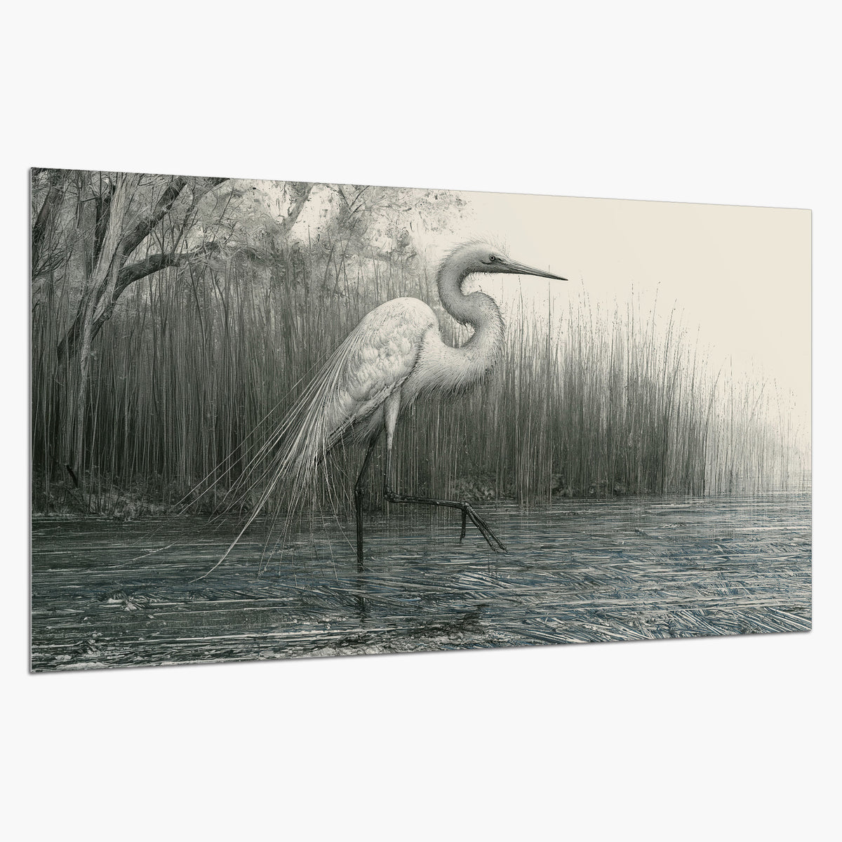 A pale long-legged heron standing beside tall reeds in a muted gray-green wetland single poster print on a white background