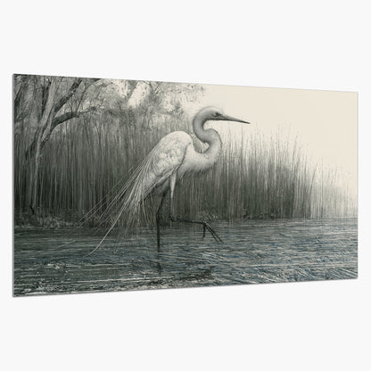 A pale long-legged heron standing beside tall reeds in a muted gray-green wetland single poster print on a white background