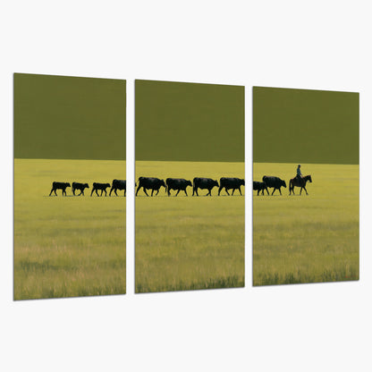 A rider leading a long line of cattle across a wide green and golden plain set of 3 poster prints on a white background