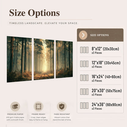 Sunlit pine forest road painting set of 3 poster prints size options