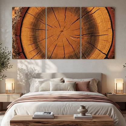 Tree ring wood slice art 3 piece canvas wall art in a bedroom above the bed