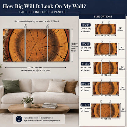 Tree ring wood slice art 3 piece canvas wall art size guide above a sofa