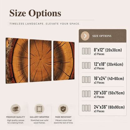 Tree ring wood slice art 3 piece canvas wall art size options