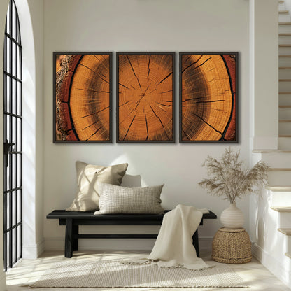 Tree ring wood slice art 3 piece framed canvas in an entryway above a bench
