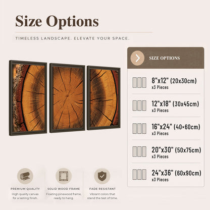 Tree ring wood slice art 3 piece framed canvas size options