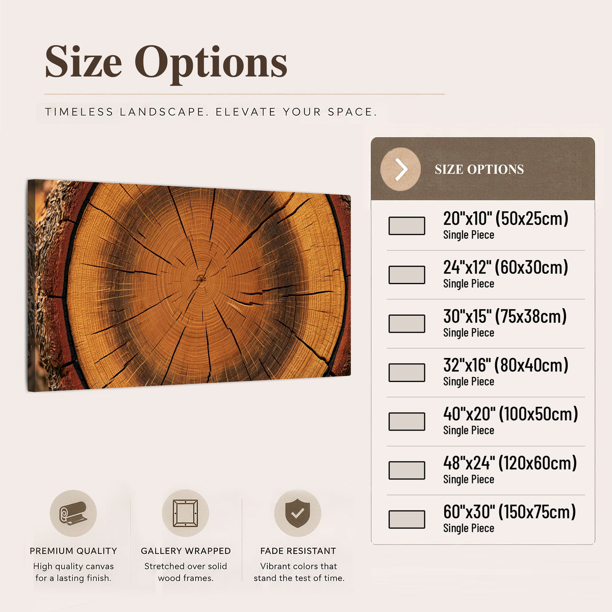 Tree ring wood slice art canvas wall art size options