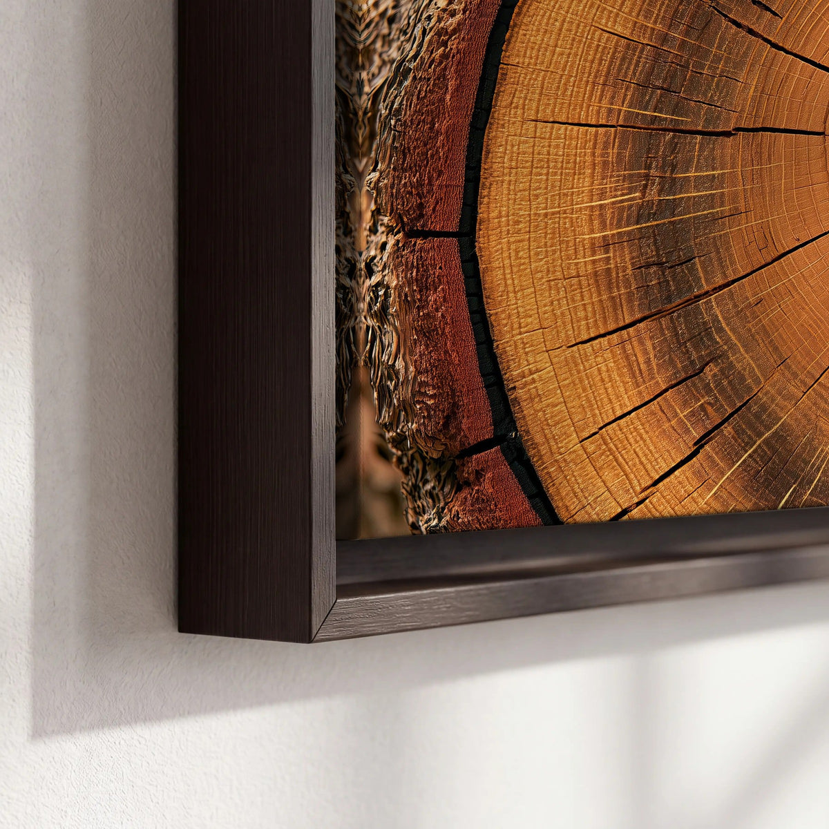 Tree ring wood slice art framed canvas close-up showing the floating frame