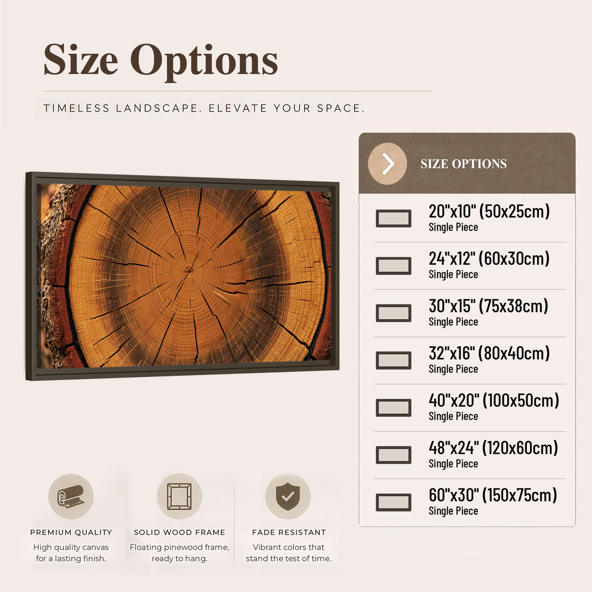 Tree ring wood slice art framed canvas wall art size options