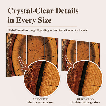 Tree ring wood slice art high-resolution print quality comparison