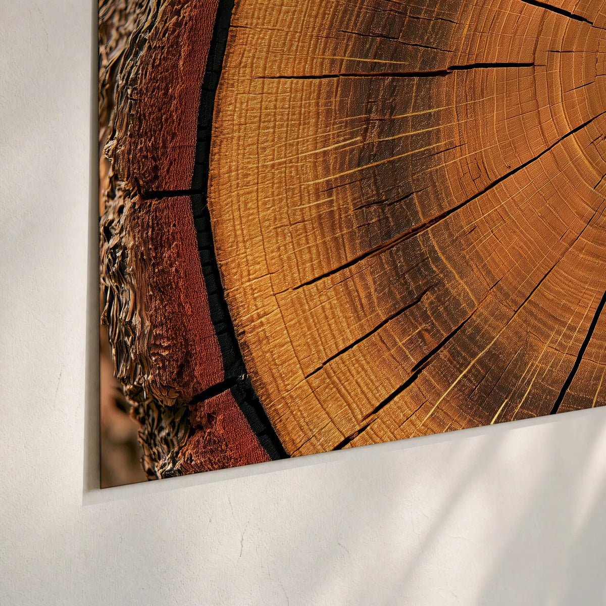 Tree ring wood slice art poster print close-up on matte paper