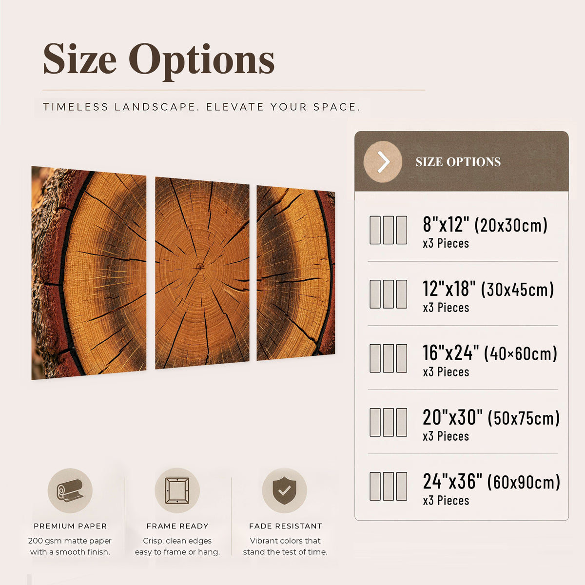 Tree ring wood slice art set of 3 poster prints size options