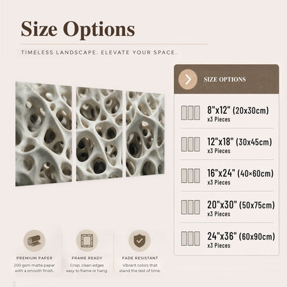 White organic texture abstract set of 3 poster prints size options