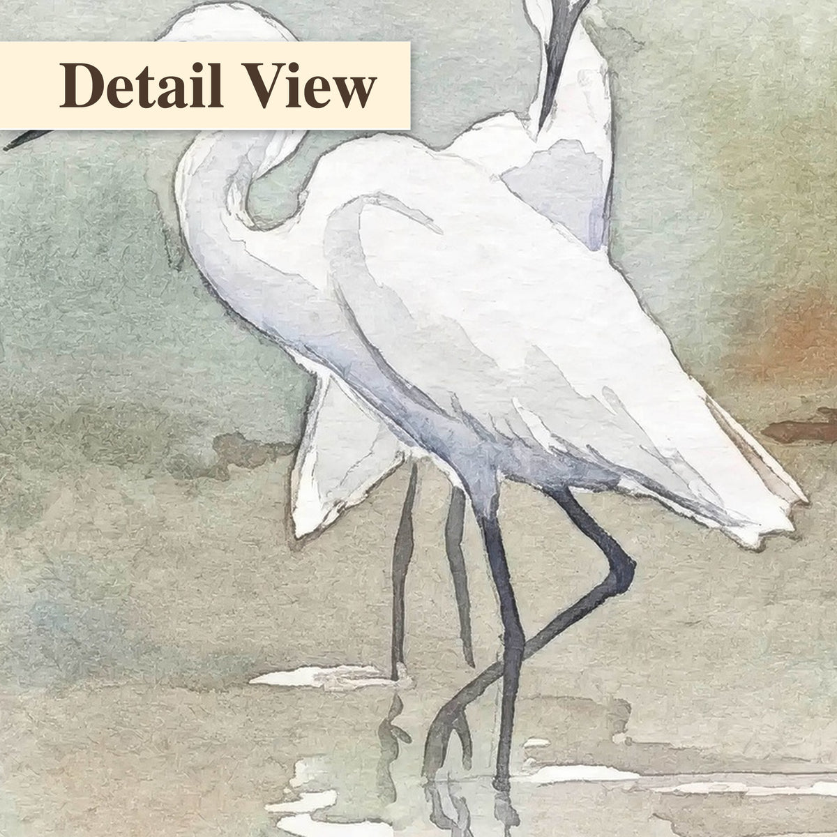 White egrets watercolor painting detail close-up of an egret