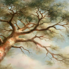 Contemporary Fine Art