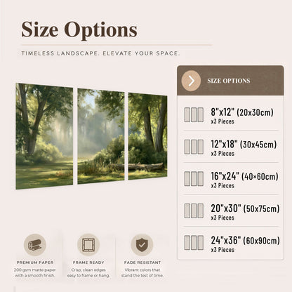 Sunlit forest glade painting set of 3 poster prints size options