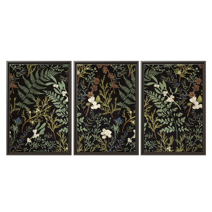 Fine green ferns and cream flowers on a black background 3 piece framed canvas wall art viewed straight on