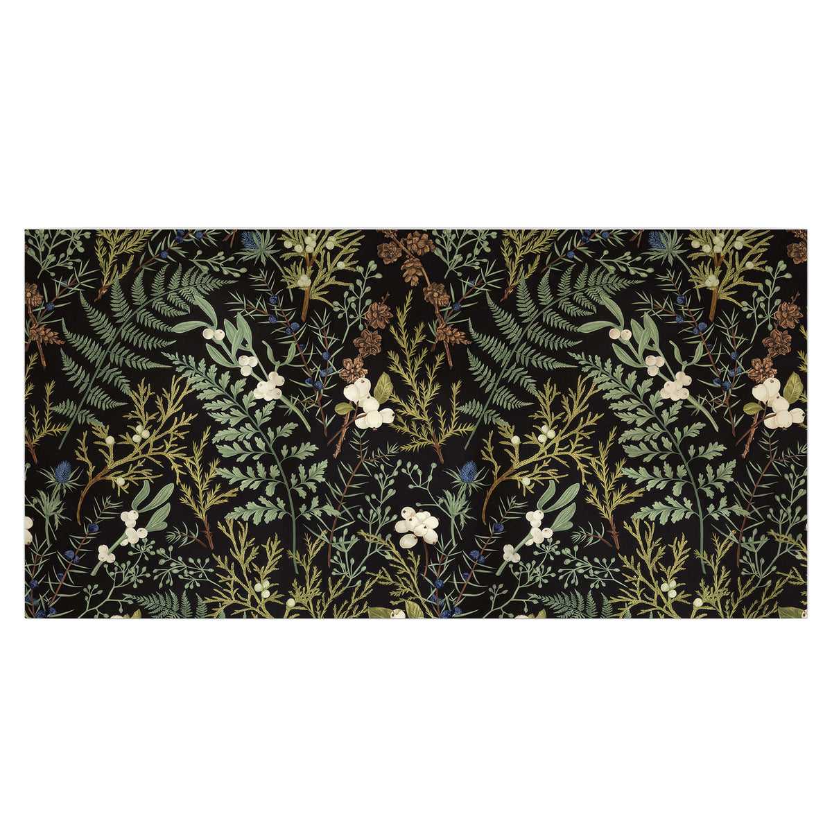 Fine green ferns and cream flowers on a black background single poster print viewed straight on