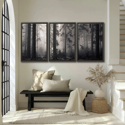 Tall woodland trees fading into pale mist 3 piece framed canvas wall art displayed in a entryway