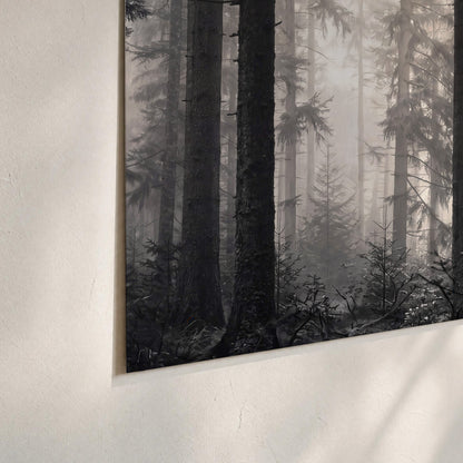 Tall woodland trees fading into pale mist set of 3 poster prints material and edge close up