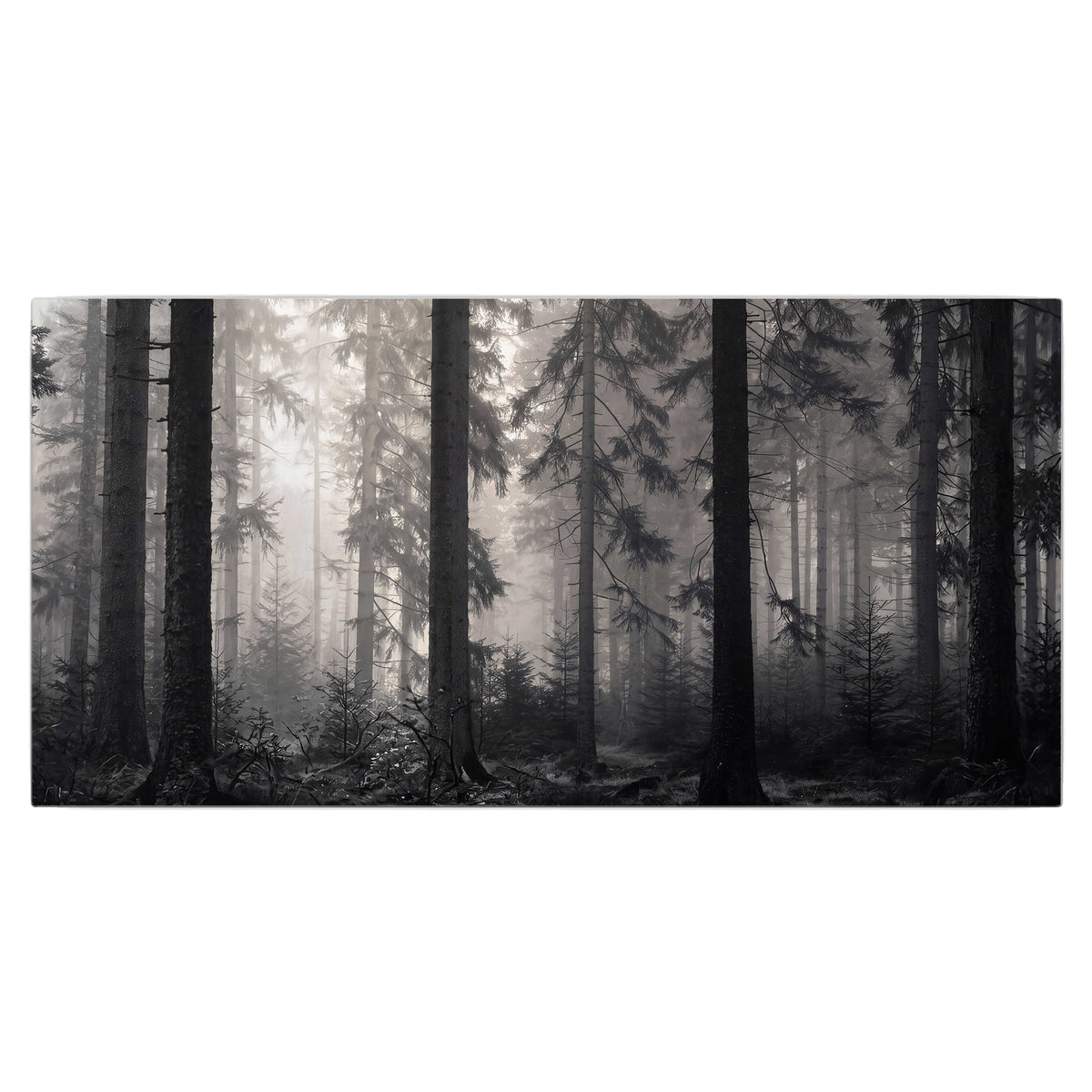Tall woodland trees fading into pale mist single canvas wall art viewed straight on