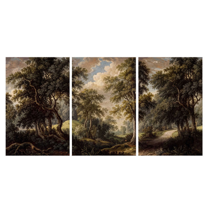 Old trees framing a softly lit woodland path set of 3 poster prints viewed straight on