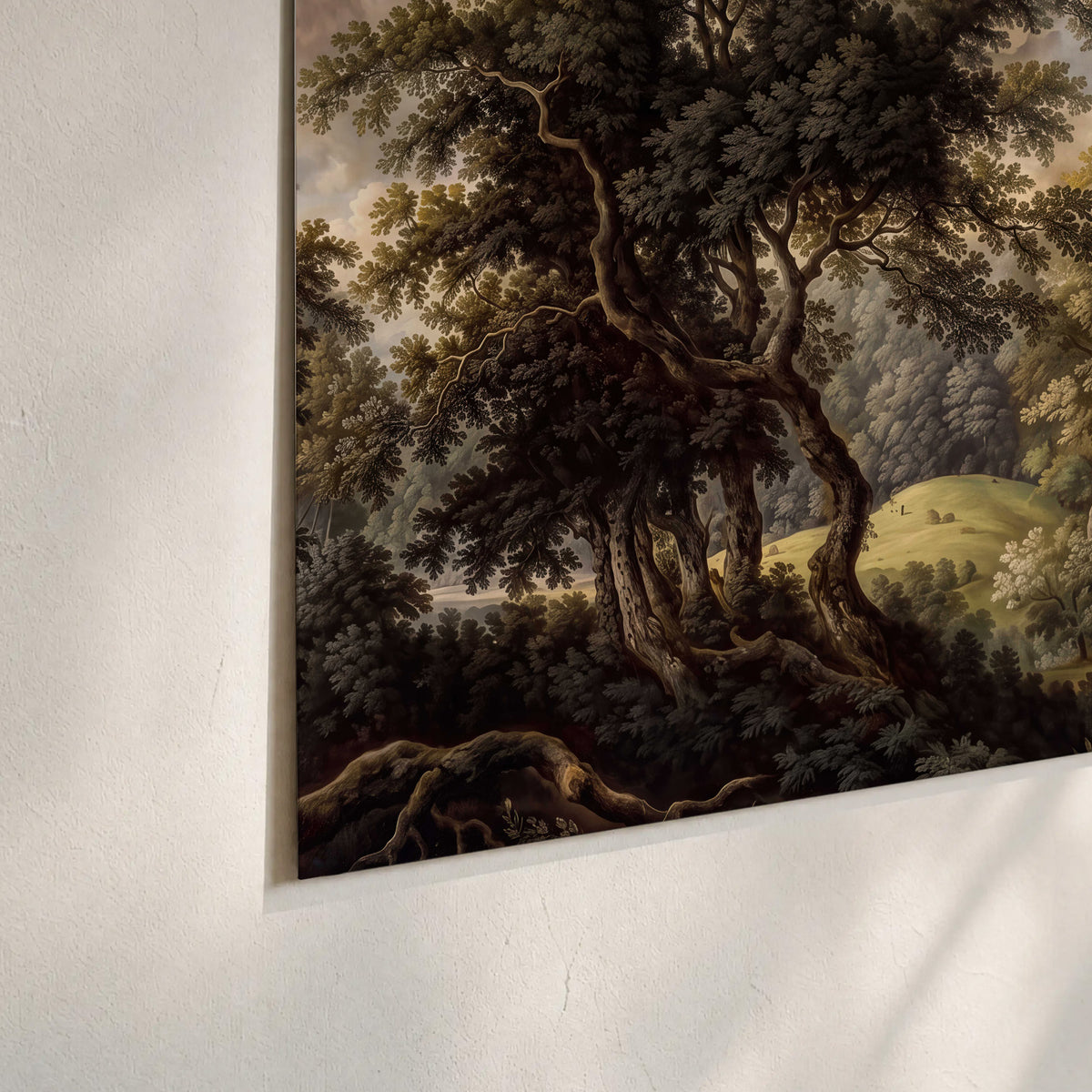 Old trees framing a softly lit woodland path set of 3 poster prints material and edge close up