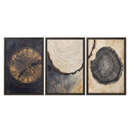 Circular tree-ring motifs in charcoal, cream and gold tones 3 piece framed canvas wall art viewed straight on