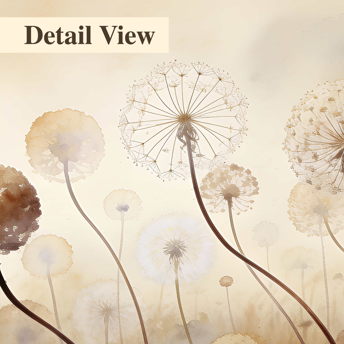 Delicate dandelion seed heads in warm misty light 3 piece canvas wall art artwork detail close up