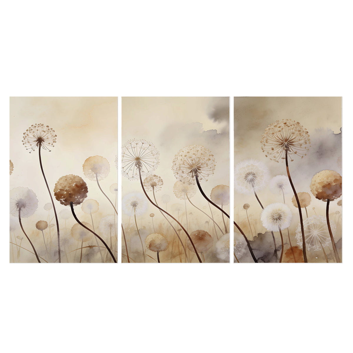 Delicate dandelion seed heads in warm misty light set of 3 poster prints viewed straight on