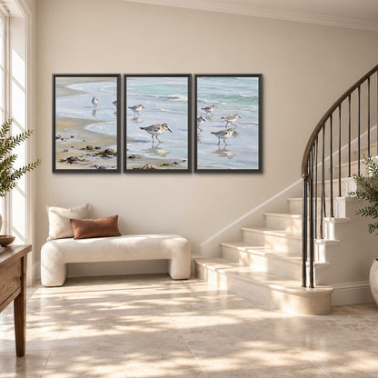 Small shorebirds standing along a pale blue shoreline 3 piece framed canvas wall art styled in an interior