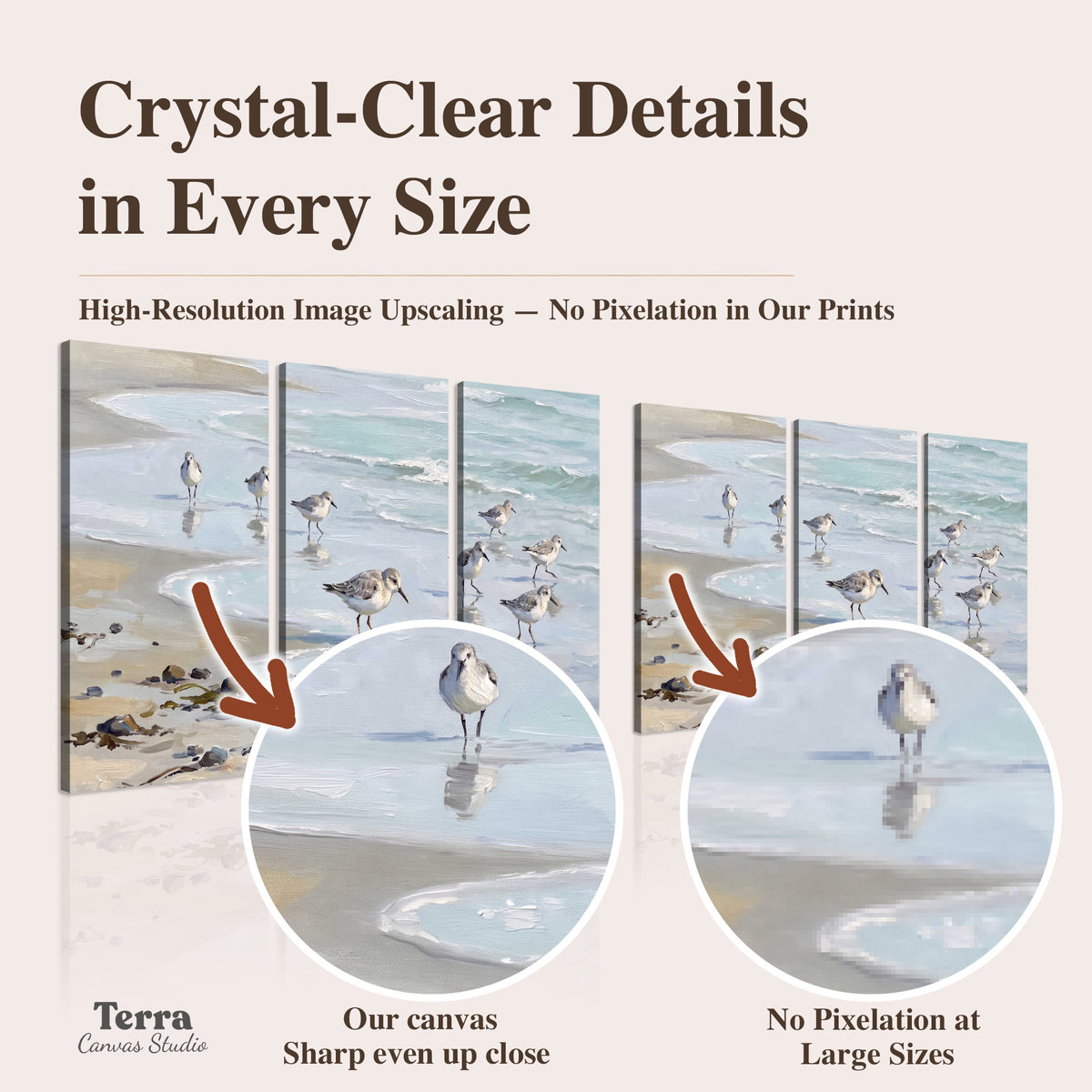 Small shorebirds standing along a pale blue shoreline artwork quality information