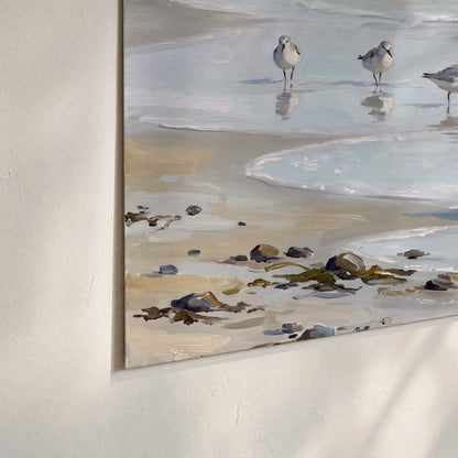 Small shorebirds standing along a pale blue shoreline set of 3 poster prints material and edge close up
