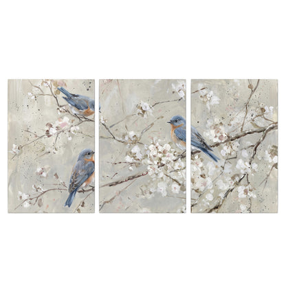 Bluebirds perched on delicate white flowering branches against pale sage 3 piece canvas wall art viewed straight on