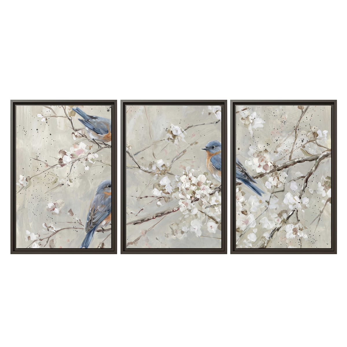 Bluebirds perched on delicate white flowering branches against pale sage 3 piece framed canvas wall art viewed straight on